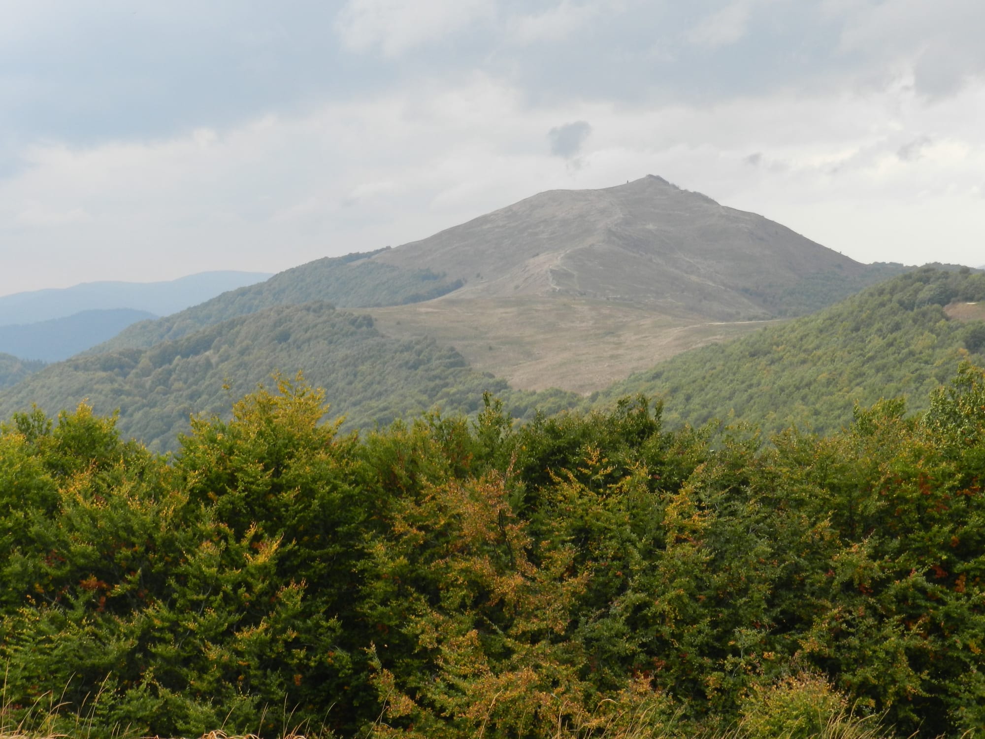 BIESZCZADY